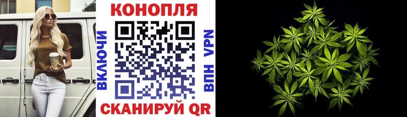 Лсд 25 Мамадыш